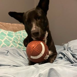 Meet your Posher, Delaney